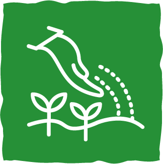 gfx_icon_BedtimeSeeds-Square-GRN